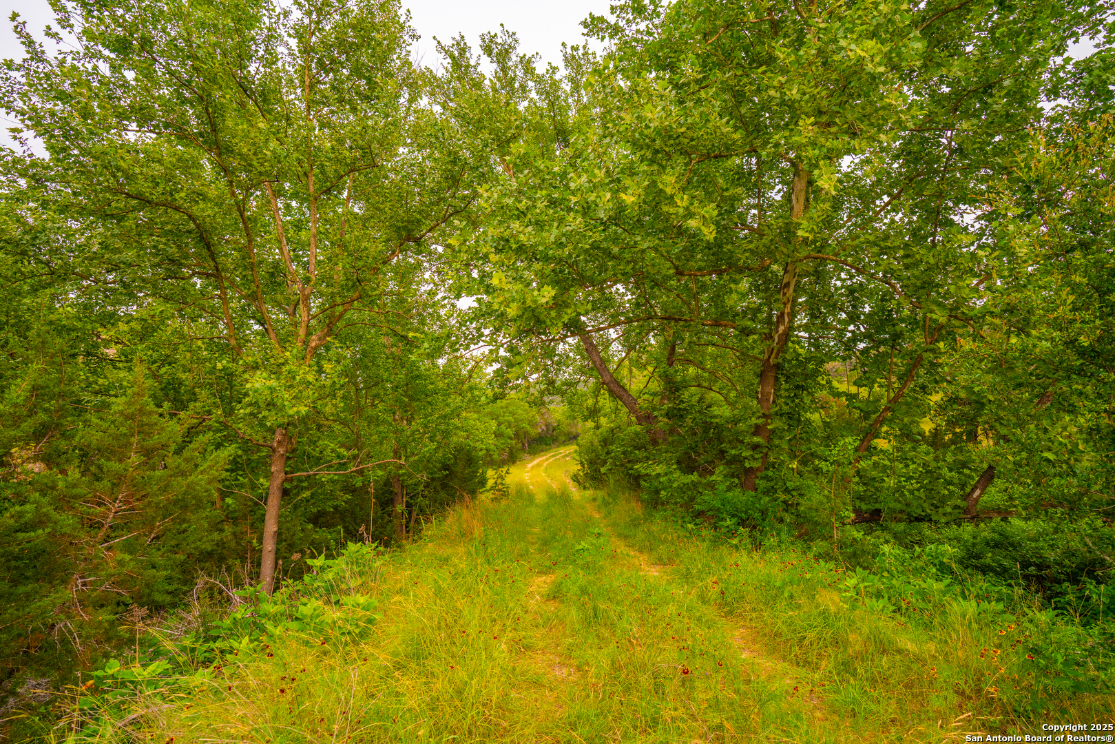 101 Bella Springs Road Boerne, TX 78006 - Photo 46 of 50 a view of a small yard