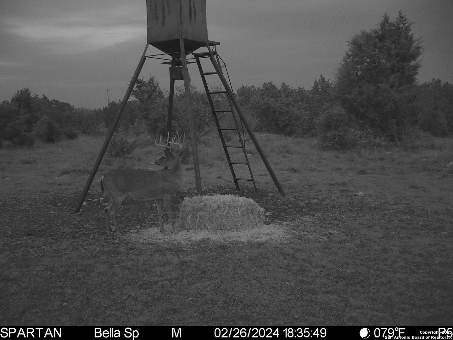 101 Bella Springs Road Boerne, TX 78006 - Photo 47 of 50 a picture of a outdoor space