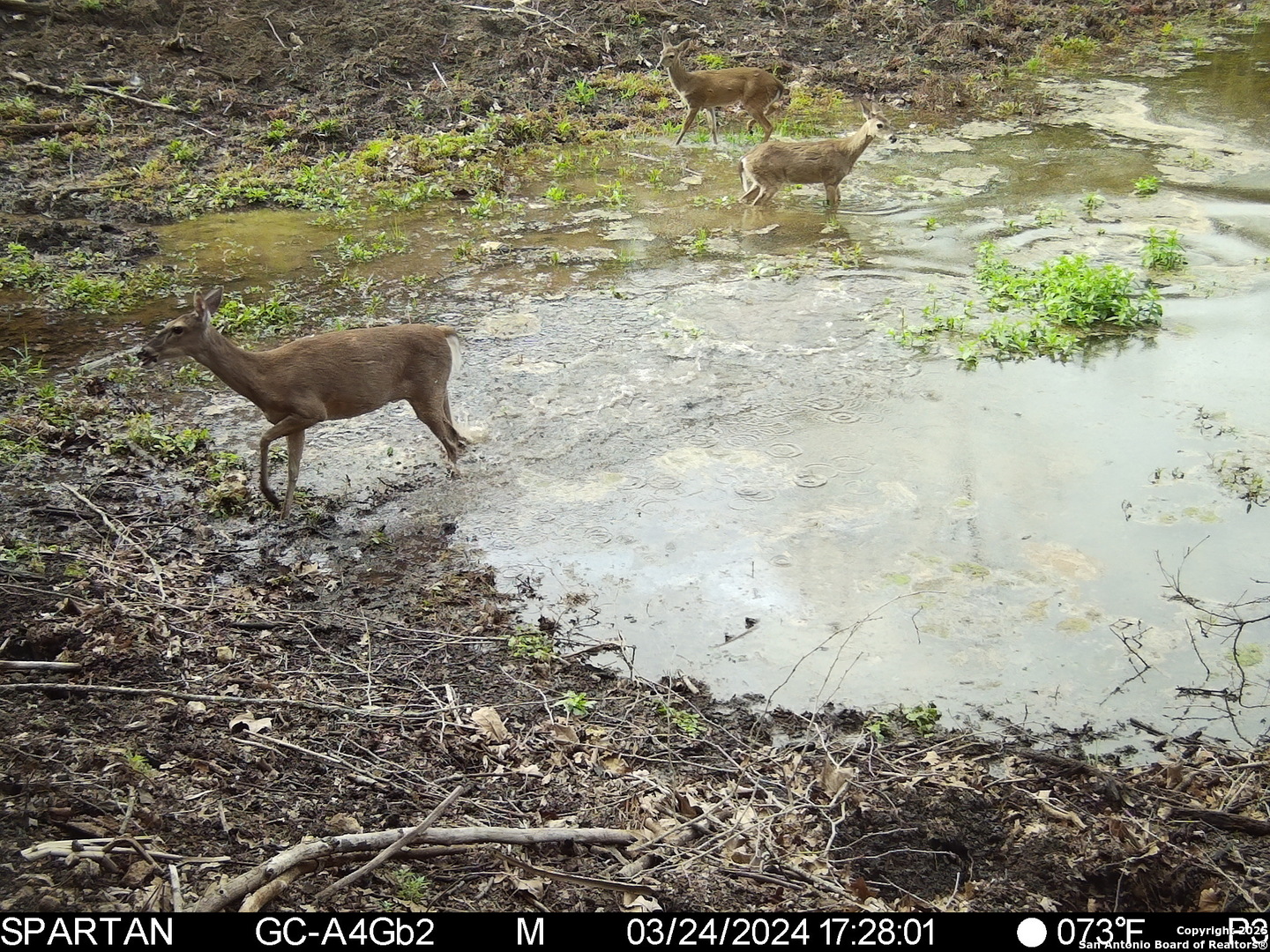 101 Bella Springs Road Boerne, TX 78006 - Photo 48 of 50 a view of a backyard of the house