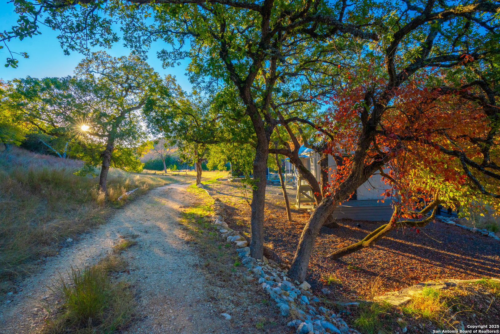 101 Bella Springs Road Boerne, TX 78006 - Photo 9 of 50 a view of yard along with trees