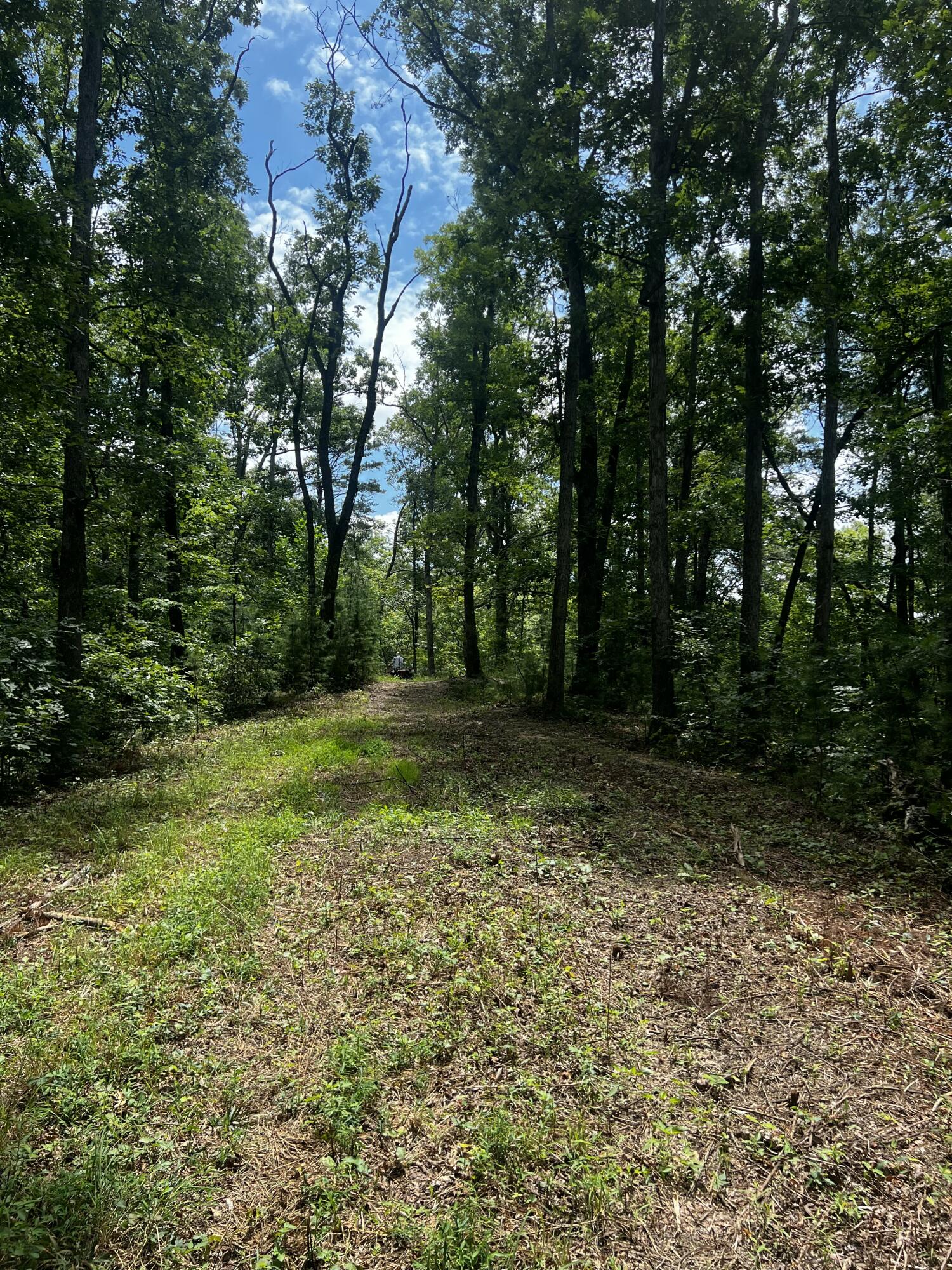 9999 Millstone Road Clay City, KY 40312 - Photo 6 of 17 1000019552