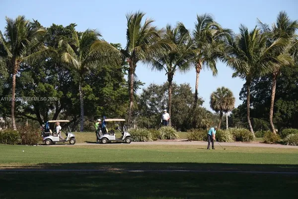 a garden view with palm trees