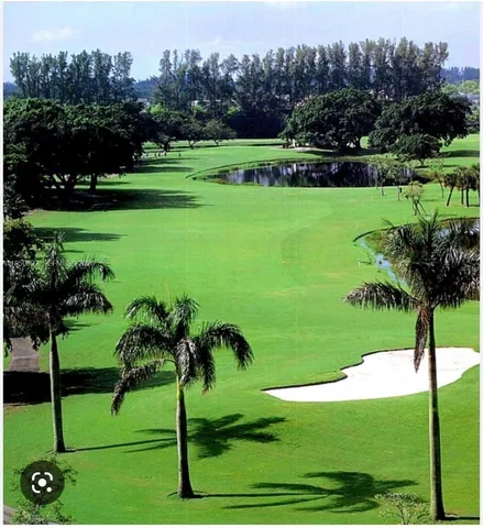 a view of a park with plants and trees