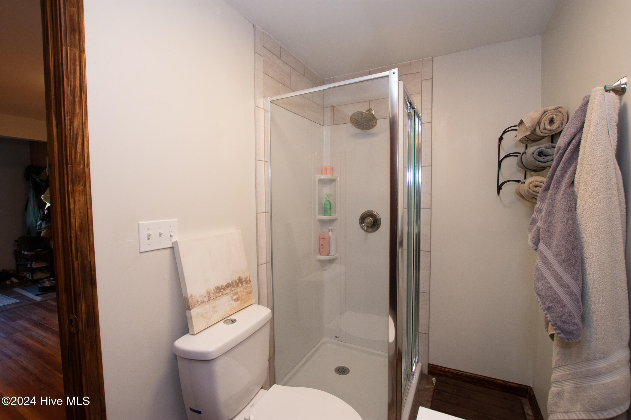 166 Verona Road Jacksonville, NC 28540 - Photo 32 of 52 Main bathroom