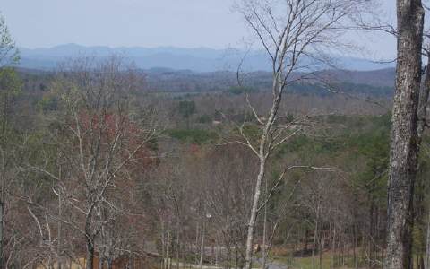 17 Ridgeview Mountain Young Harris, GA 30582 - Photo 1 of 1 Main View