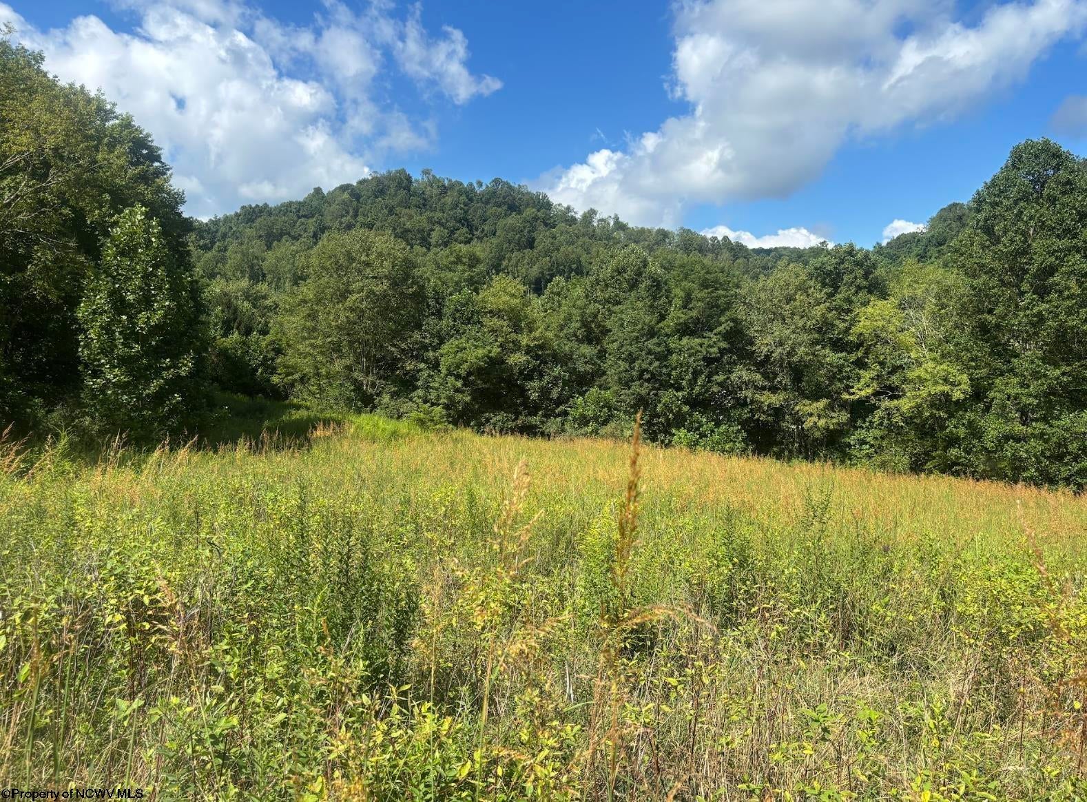 Tbd Fill Hollow Road Rowlesburg, WV 26425 - Photo 36 of 36 Gallery Image 36