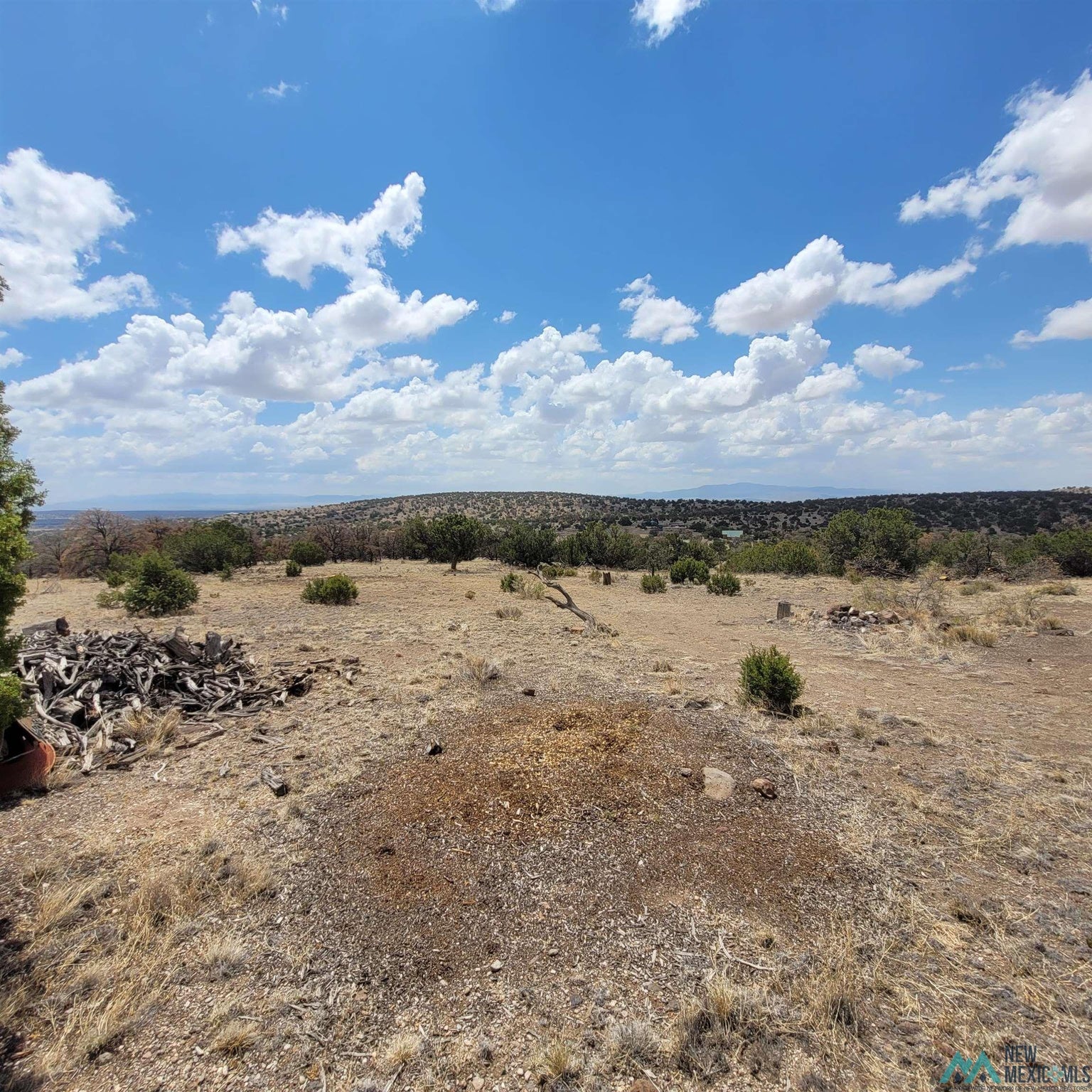40 East Rock Springs Loop Datil, NM 87821 - Photo 51 of 90 Gallery Image 51