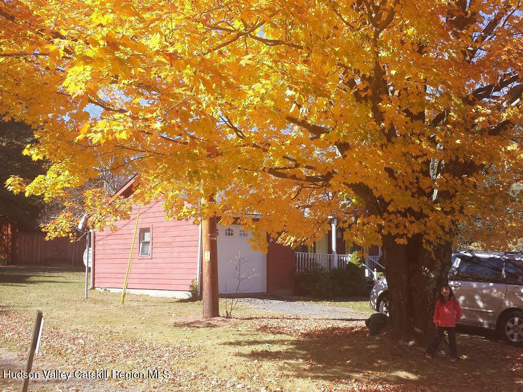 133 Reme Road Lexington, NY 12468 - Photo 15 of 17 fall mat