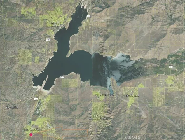 a close up of a vase of flowers