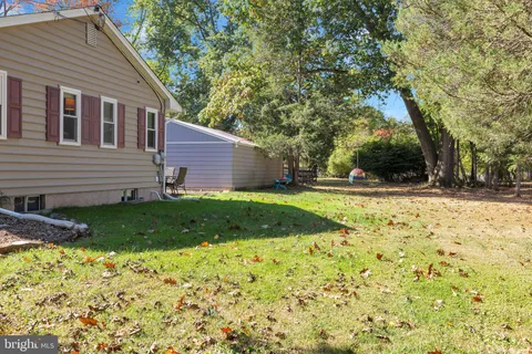 a view of a yard with plants and large tree