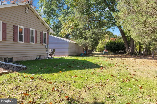 a view of a yard with plants and large tree