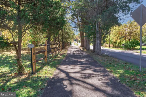 a view of a yard with plants and trees