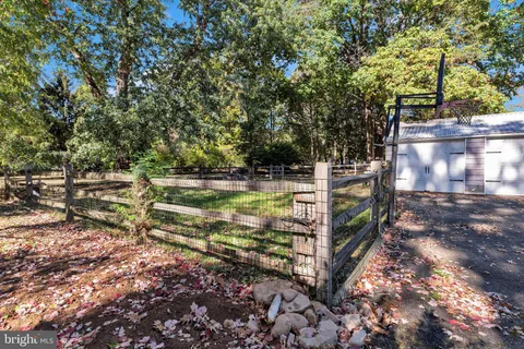 a view of a yard with large trees