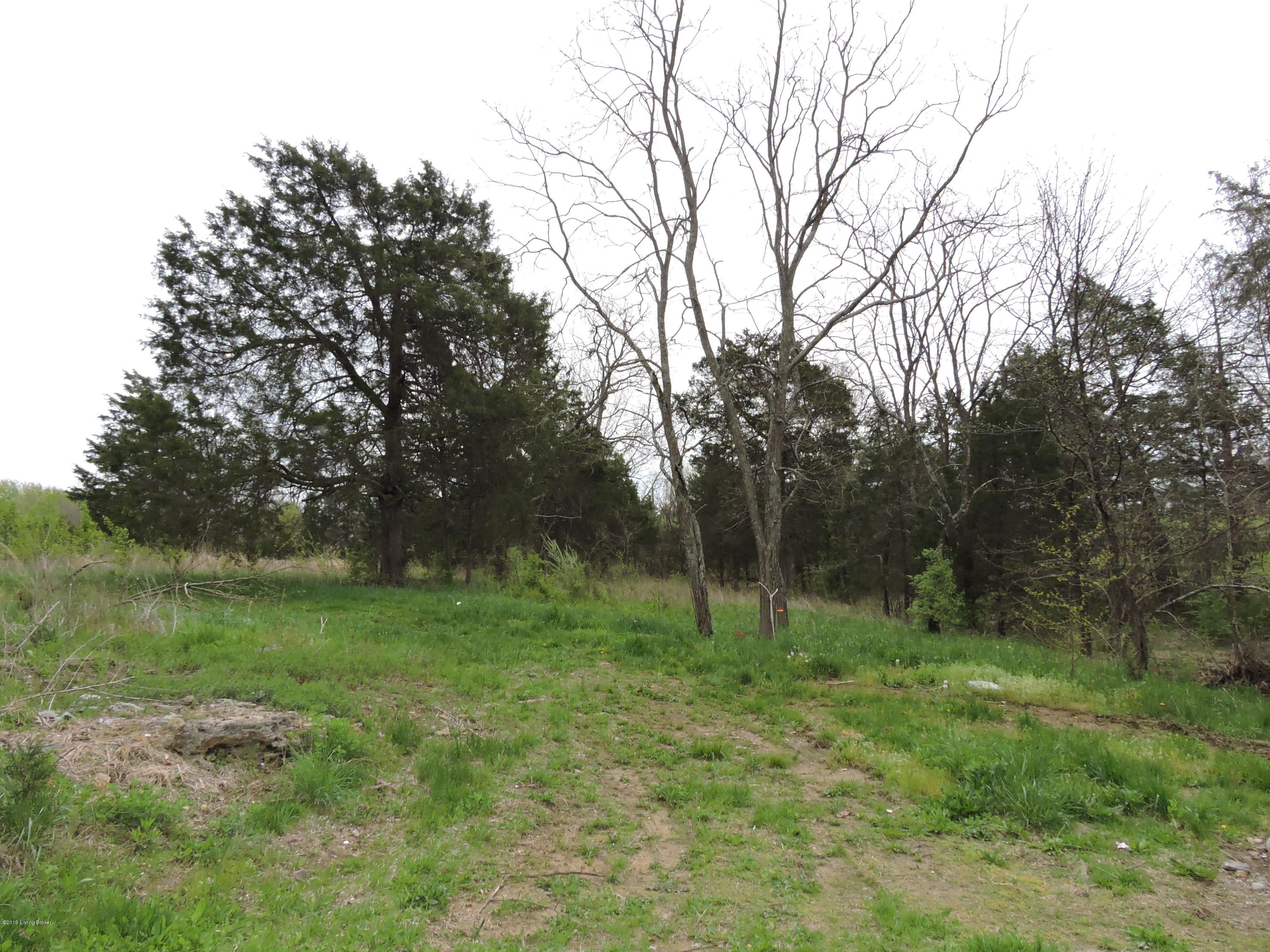 781 Ridgeview Drive Shepherdsville, KY 40165 - Photo 18 of 50 DSCN5693