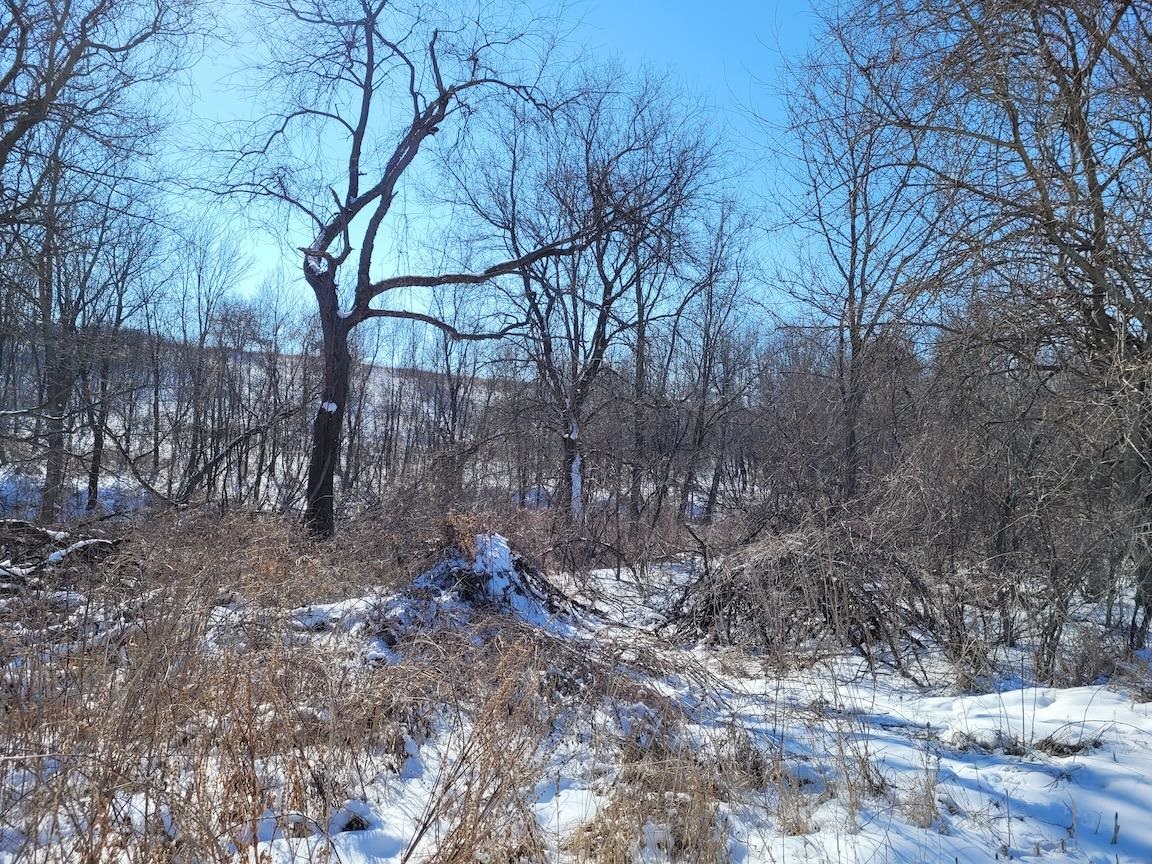 Tbd Clark Road Browntown, WI 53522 - Photo 24 of 46 Gallery Image 24