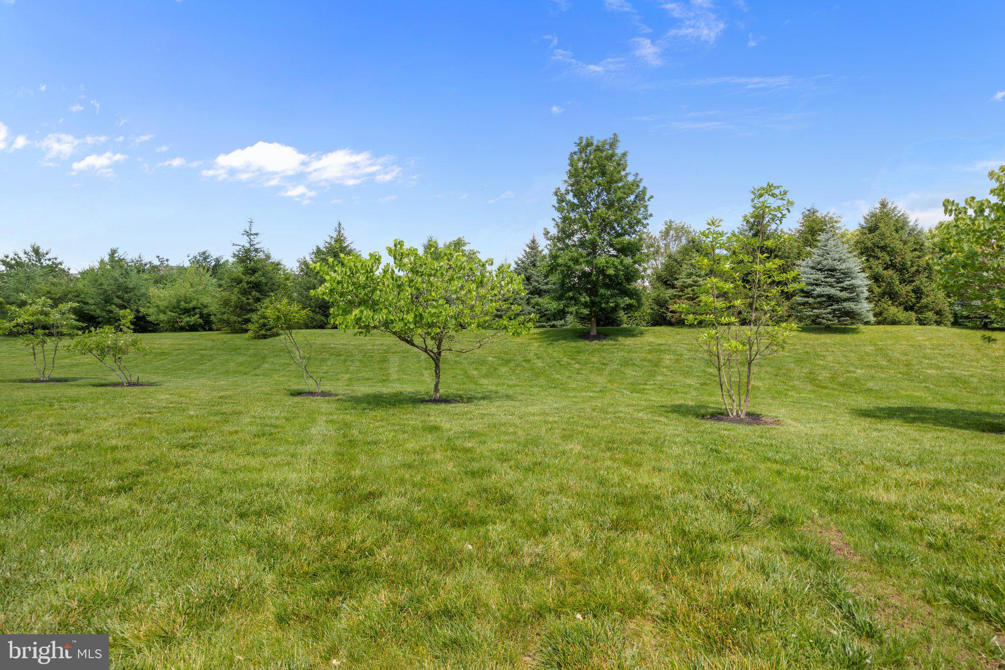 23 David Drive Newtown, PA 18940 - Photo 44 of 44 a backyard of a house with lots of green space