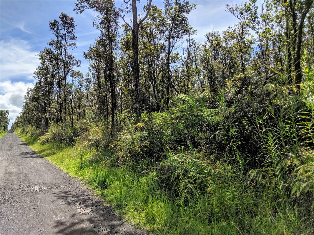 23 Kokokahi Road Mountain View, HI 96771 - Photo 2 of 9 Gallery Image 2