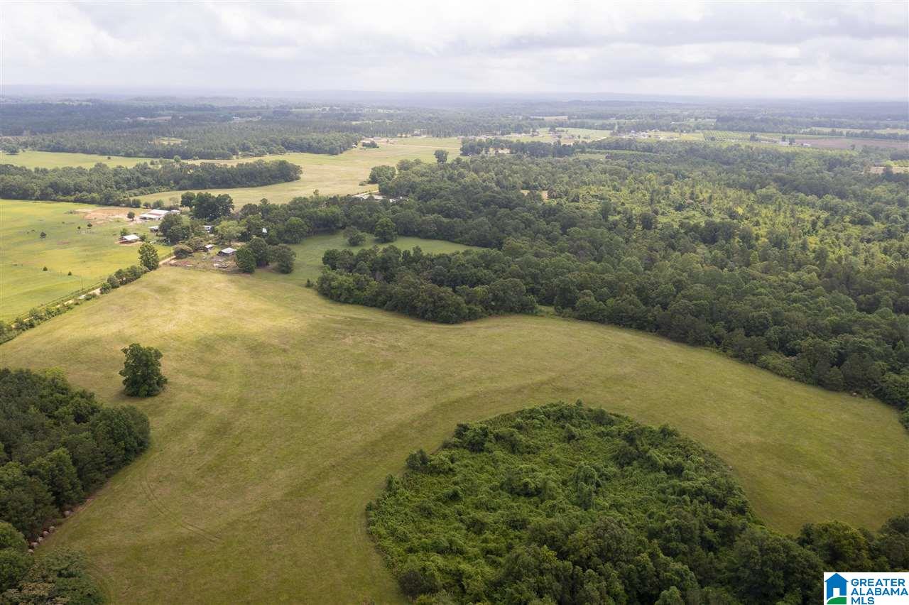 0 County Road 368 Verbena, AL 36091 - Photo 7 of 13