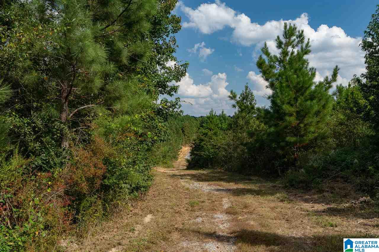 8967 Highway 55, Unit 2 & 3 Sterrett, AL 35147 - Photo 18 of 23