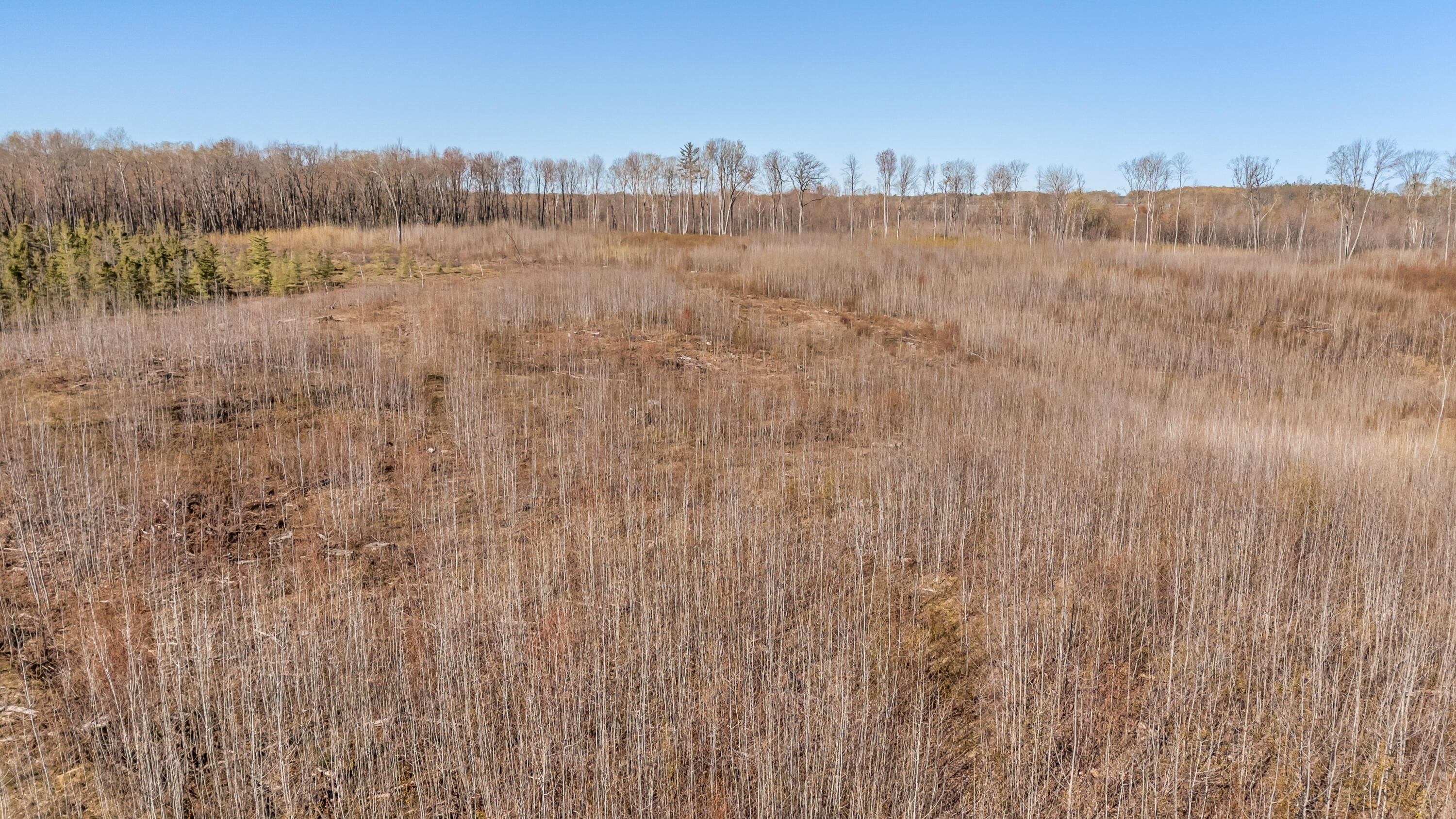 16107 12 Mile Road Leroy, MI 49655 - Photo 35 of 40 16107-12MileRd-Leroy-27
