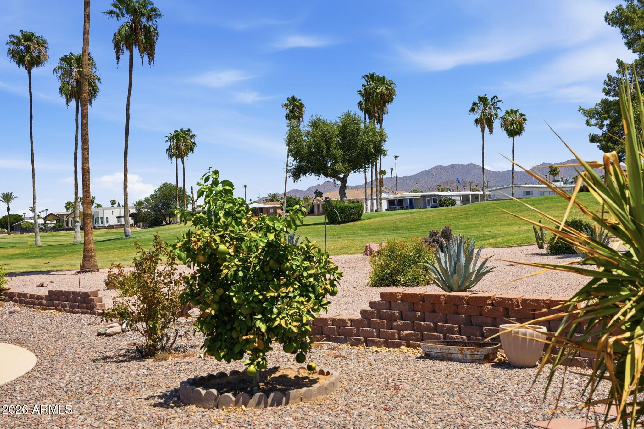 2205 North Higley Road Mesa, AZ 85215 - Photo 18 of 21 Backyard