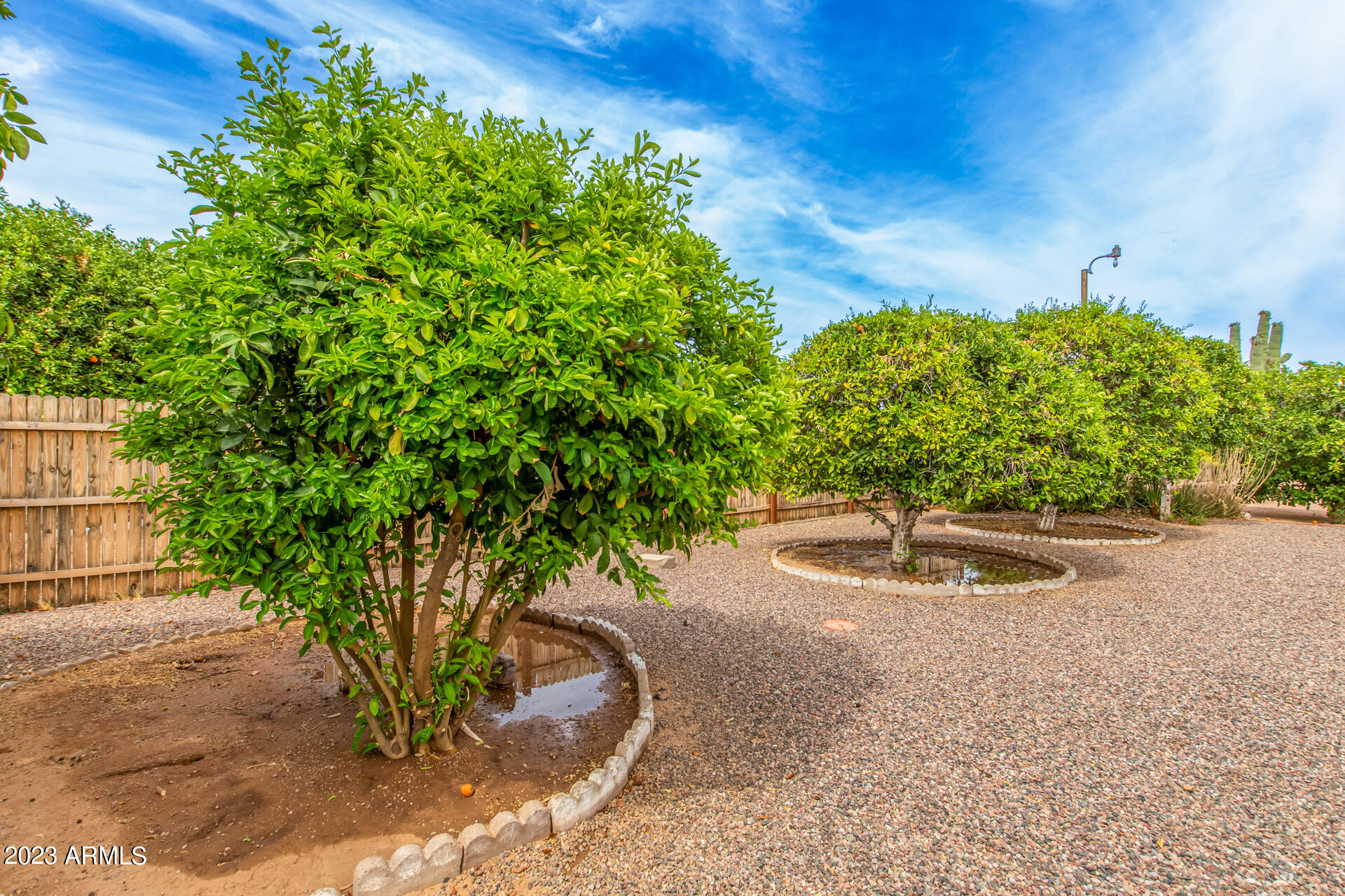5226 East Decatur Street Mesa, AZ 85205 - Photo 33 of 33 33-Decatur
