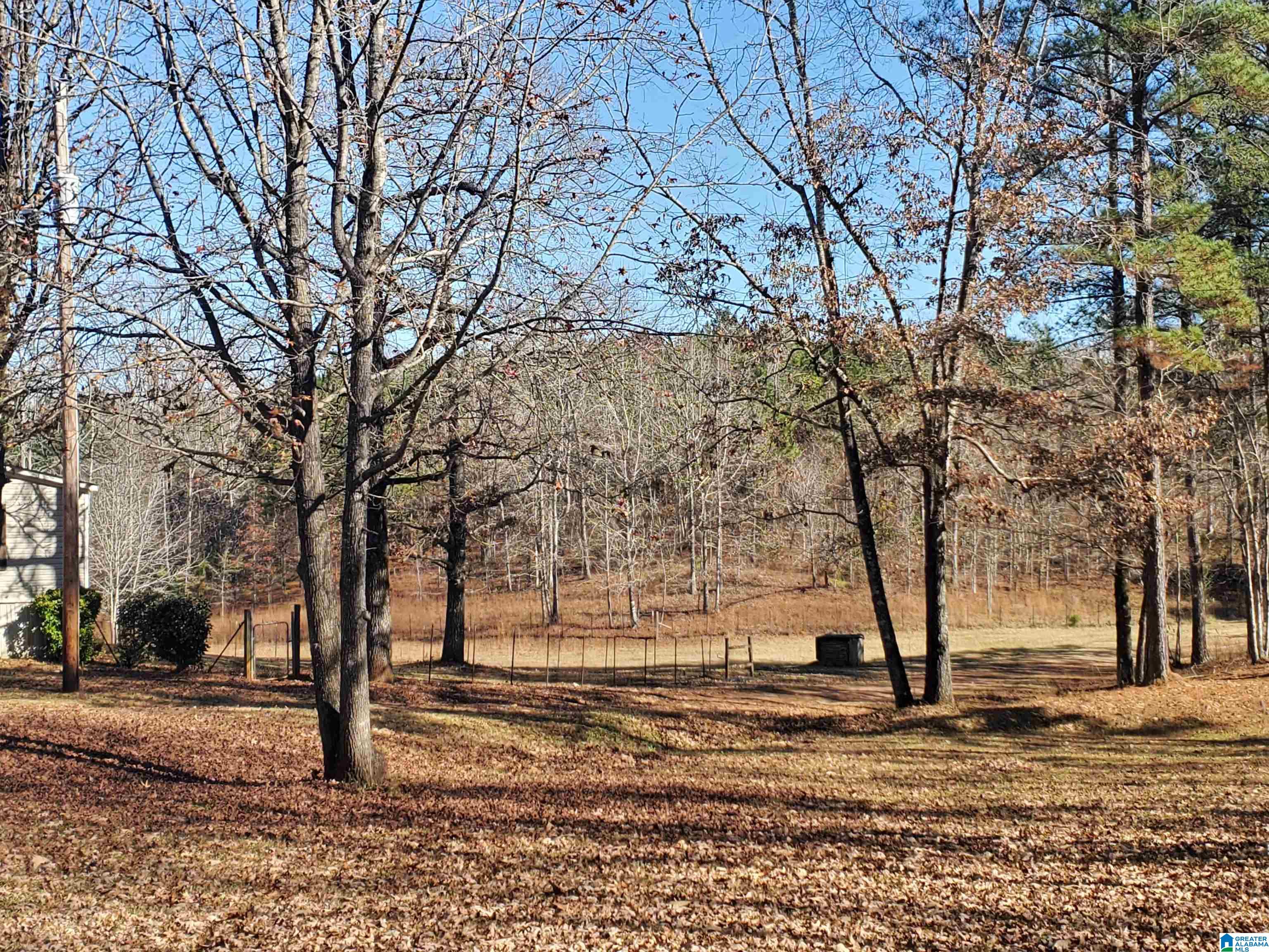 262 County Road 57 Verbena, AL 36091 - Photo 9 of 44