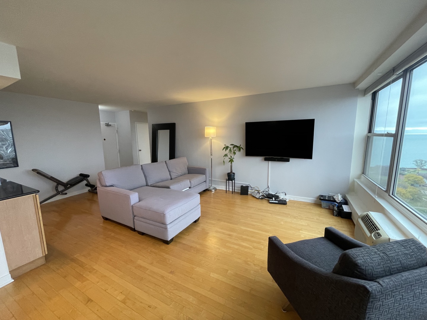 3900 North Lake Shore Drive, Unit 25C Chicago, IL 60613 - Photo 2 of 23 a living room with furniture and a flat screen tv