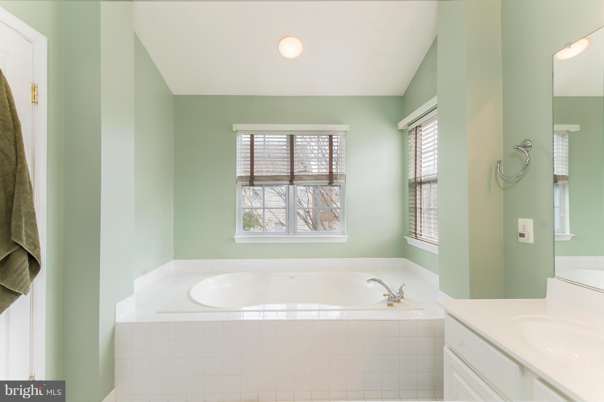 4163 Vernoy Hills Road Fairfax, VA 22033 - Photo 16 of 29 Bath (Master)