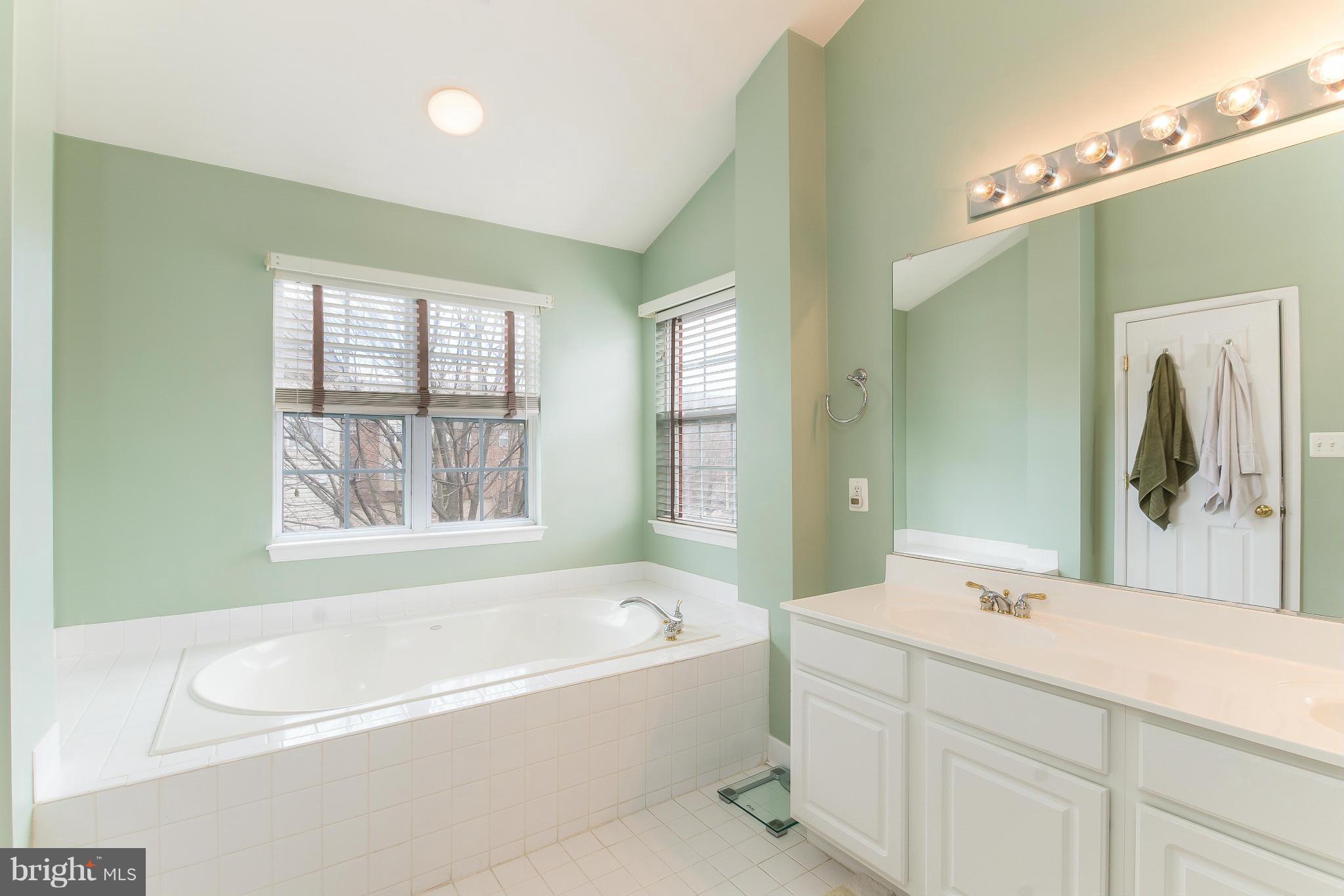 4163 Vernoy Hills Road Fairfax, VA 22033 - Photo 17 of 29 Bath (Master)