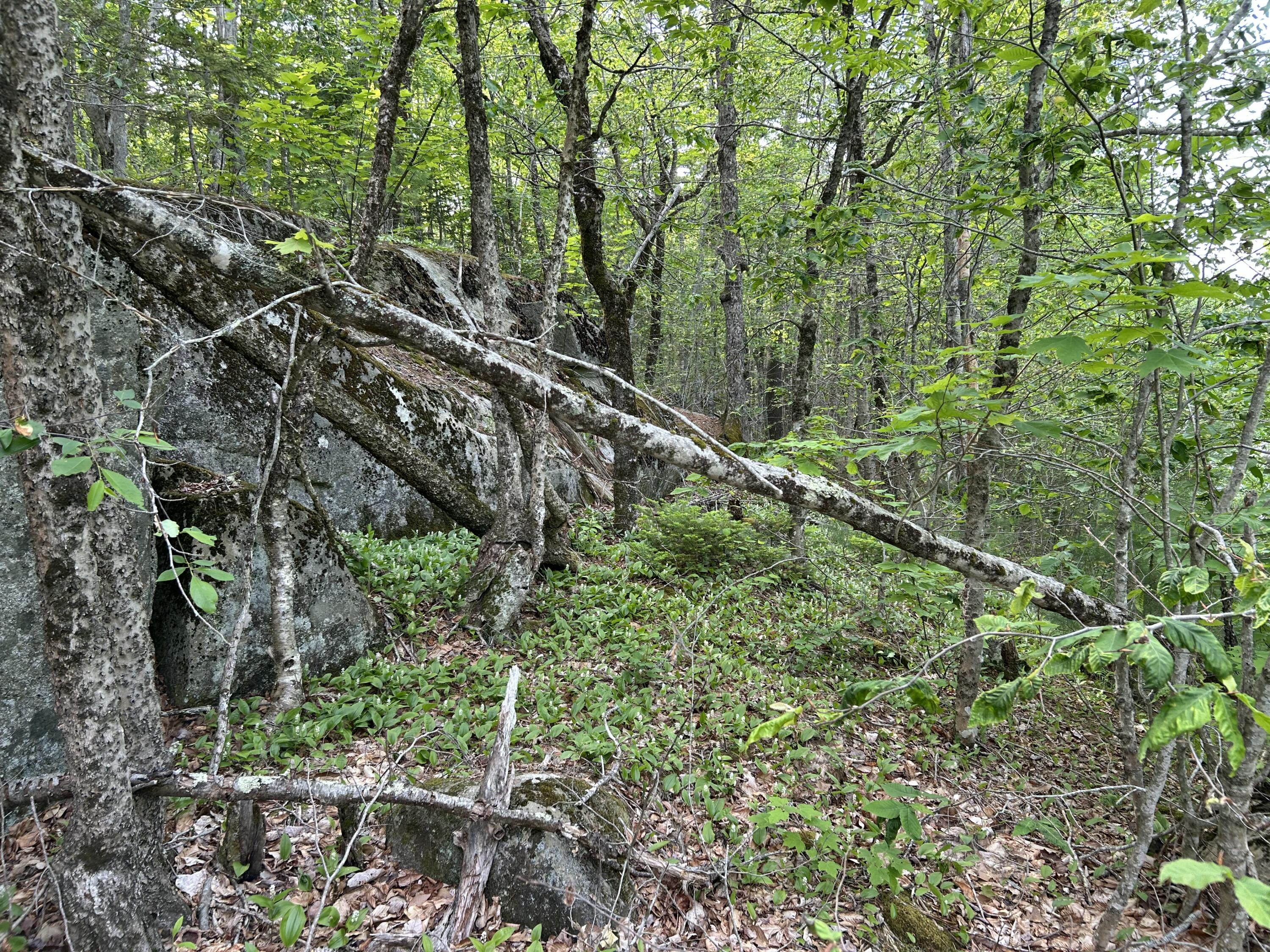 M5-l16 Clark Road Prospect, ME 04981 - Photo 15 of 45 IMG_8747