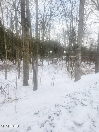 $25,000 | 0 Brush Creek Road, Breezewood, PA 15533