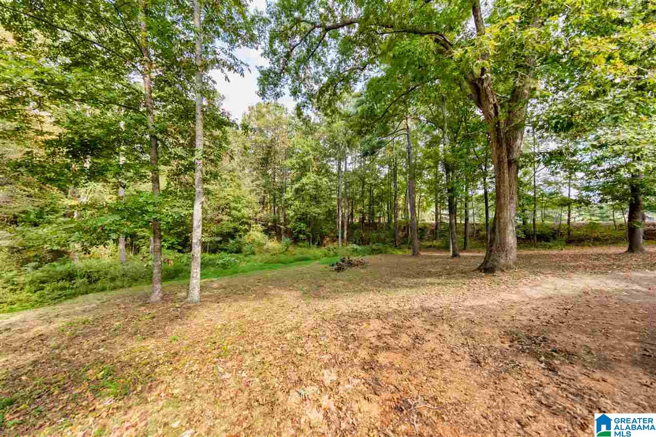 8101 Serene Lake Road McCalla, AL 35111 - Photo 8 of 42