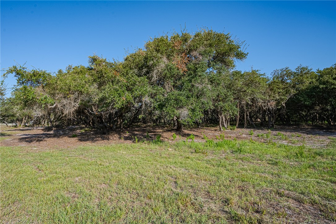 1501 Prairie Road Rockport, TX 78382 - Photo 6 of 17