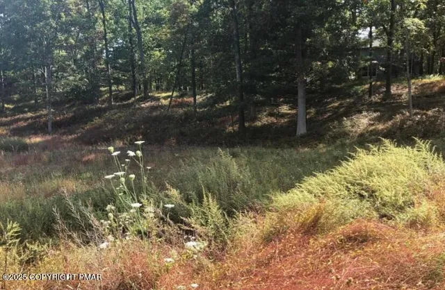 a view of a lake from a yard