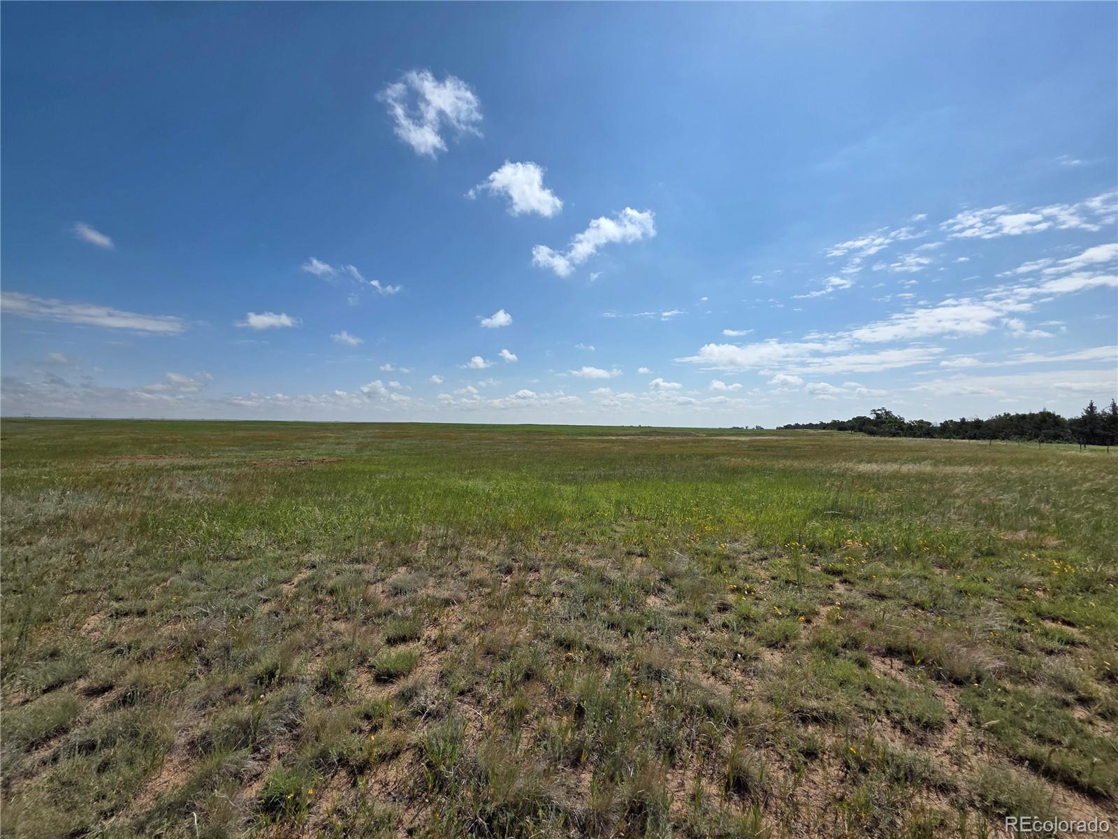 6555 North Ramah Yoder, CO 80864 - Photo 29 of 39
