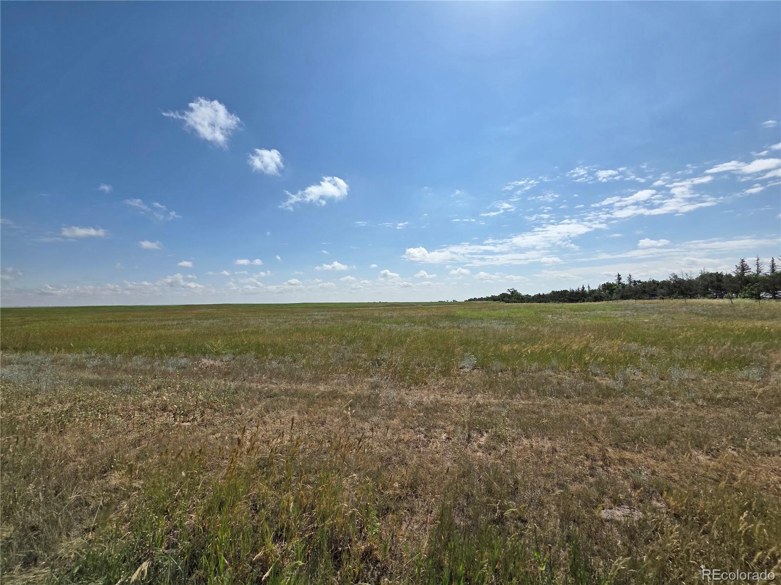 6555 North Ramah Yoder, CO 80864 - Photo 30 of 39