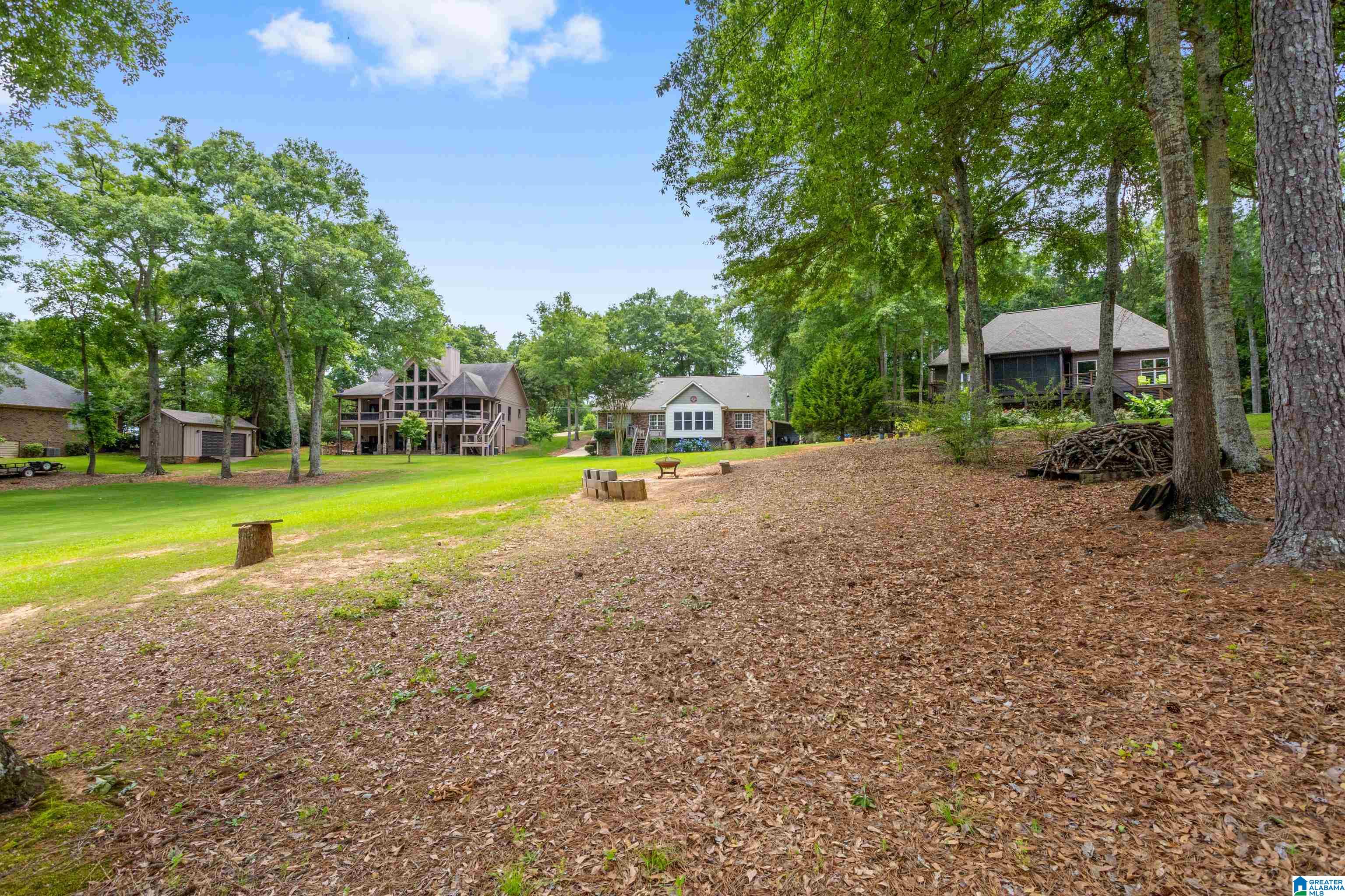 113 Harmons Island Road Cropwell, AL 35054 - Photo 48 of 61