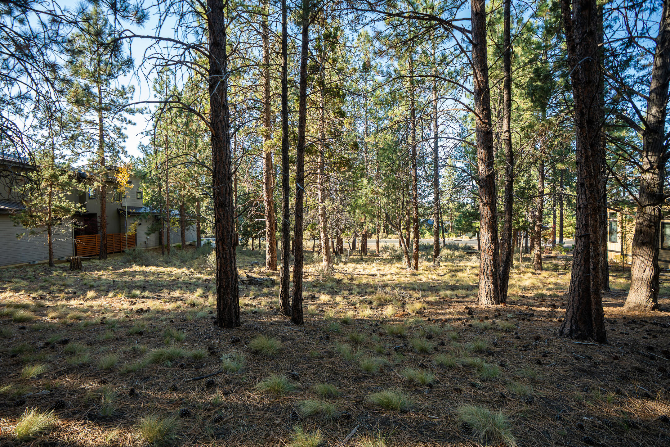 61464 Meeks Trail Bend, OR 97702 - Photo 7 of 16 06