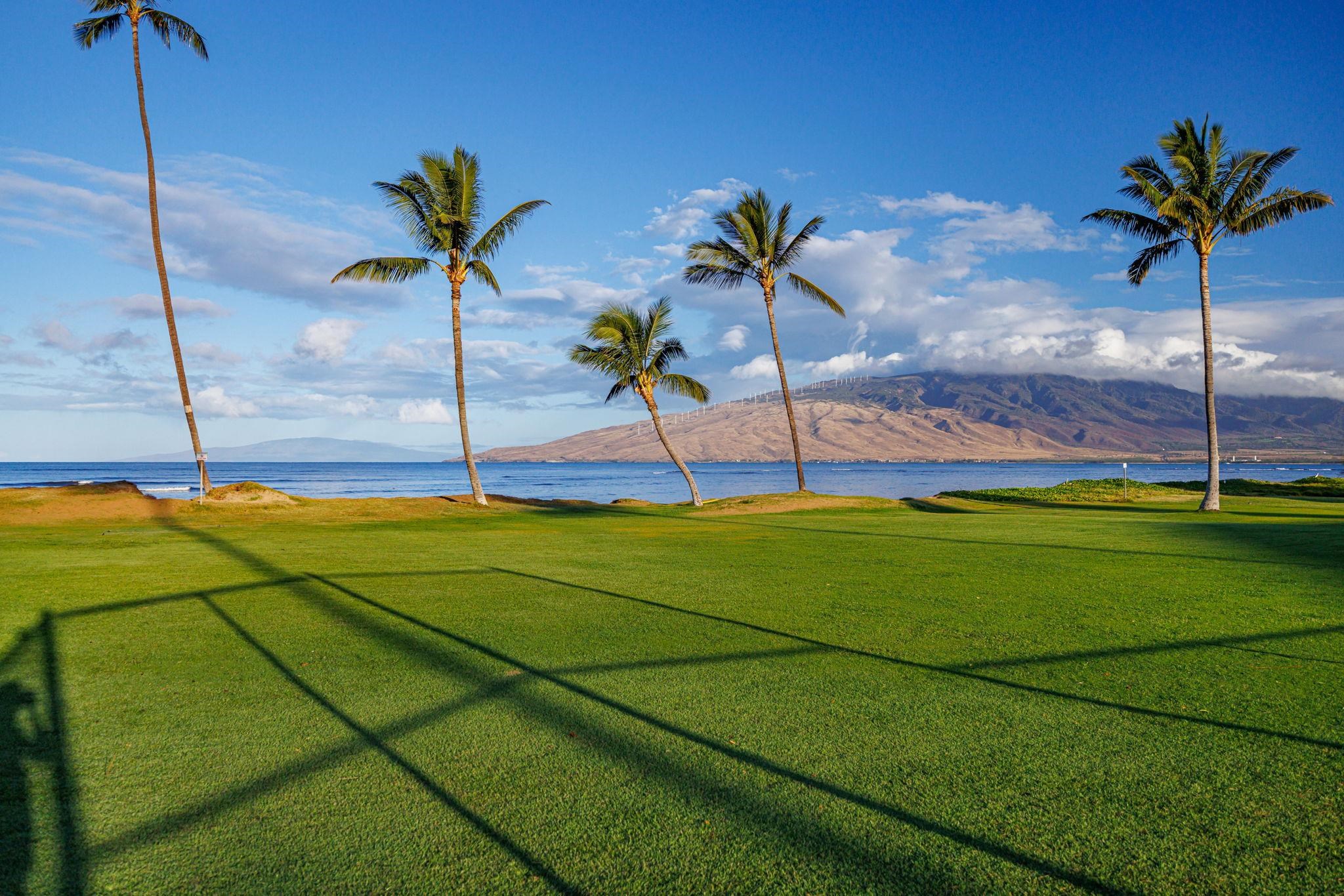 1032 South Kihei Road, Unit A305 Kihei, HI 96753 - Photo 21 of 28