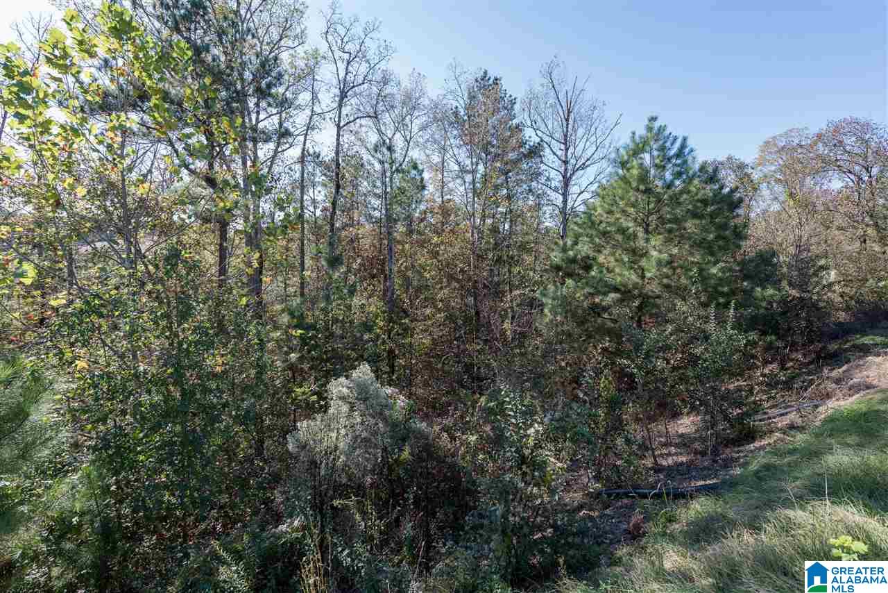 146 Ivy Trace Calera, AL 35040 - Photo 38 of 39