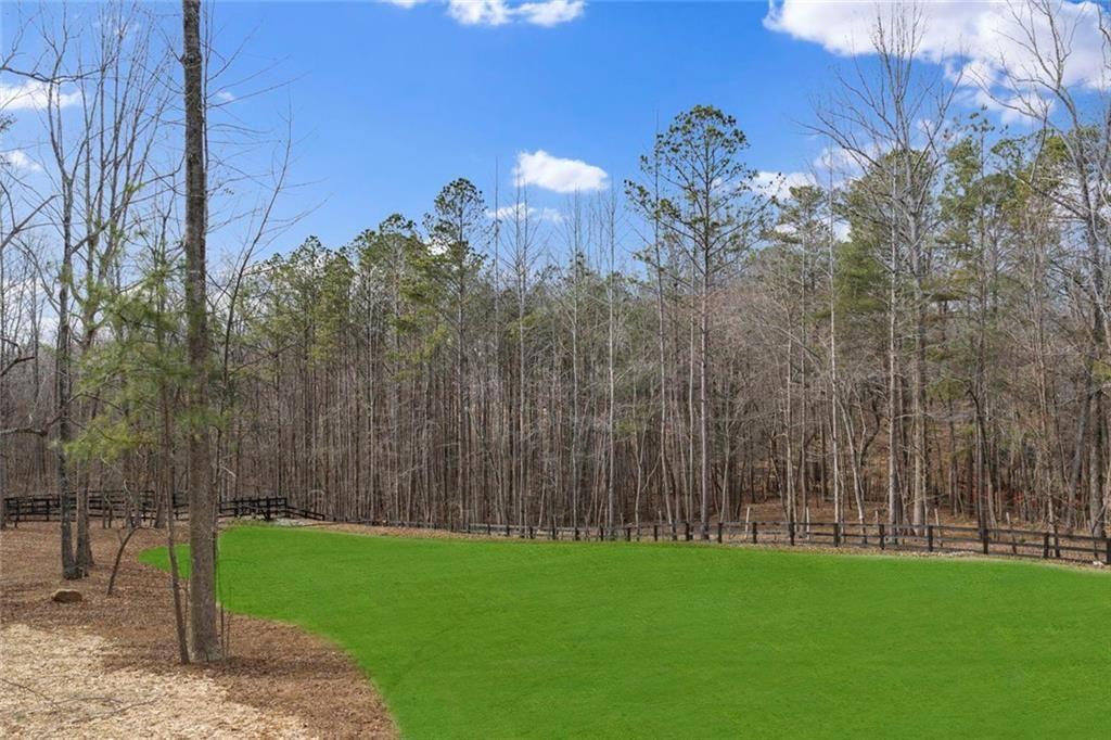 2309 Dinsmore Road Milton, GA 30004 - Photo 68 of 87 a view of a pathway with a house in the background