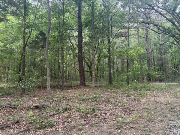 a view of outdoor space and green space