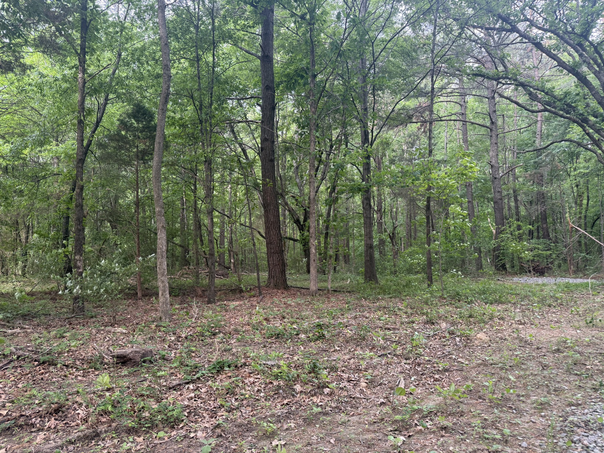 322 Kaiser Road Dickson, TN 37055 - Photo 1 of 5 a view of outdoor space and green space
