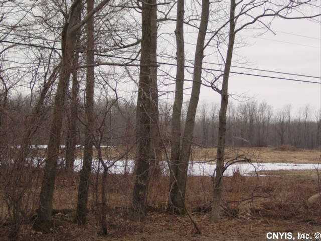 Lot#3 Limburg Forks Road Carthage, NY 13619 - Photo 1 of 1 Land