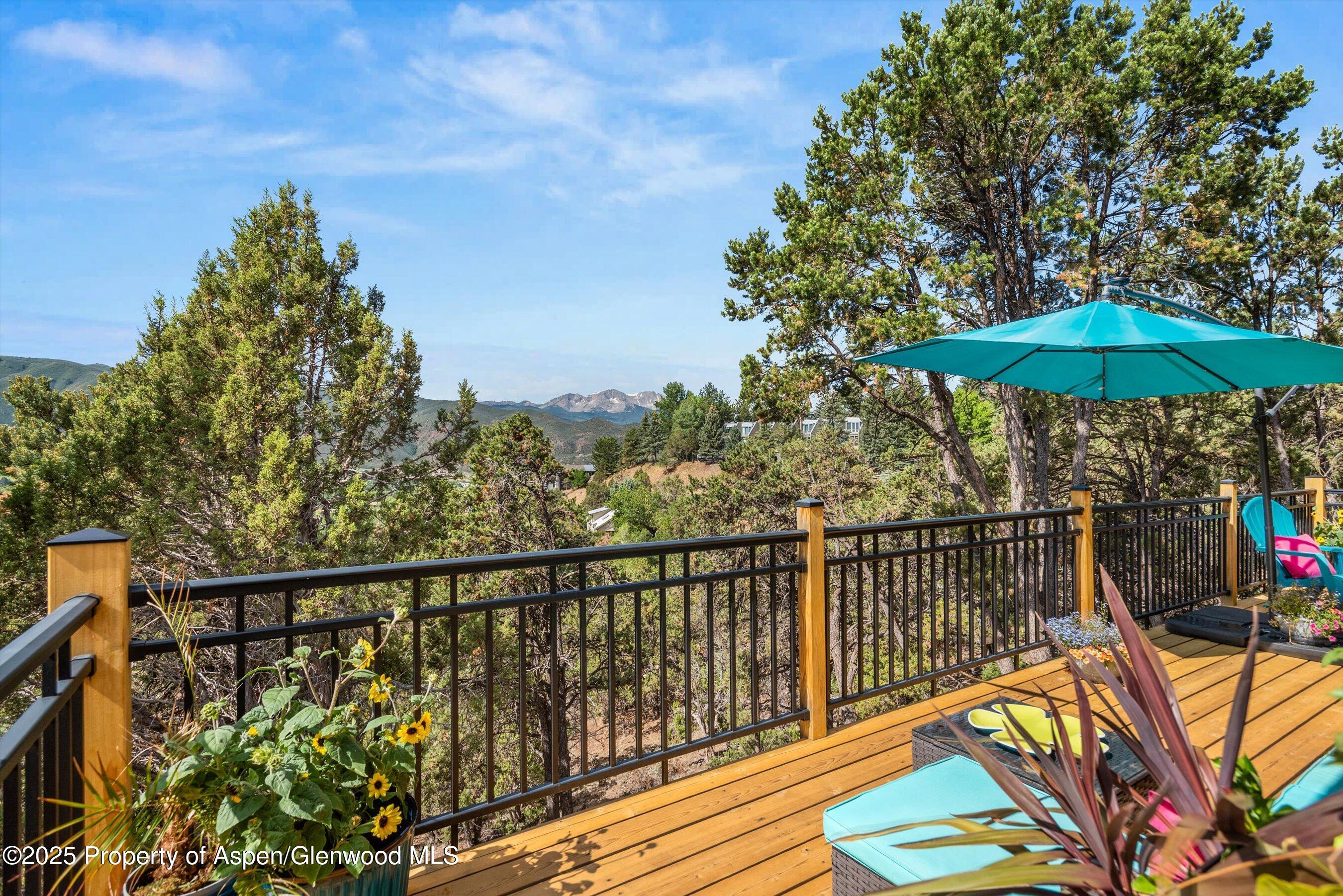 679 Pinon Drive Basalt, CO 81621 - Photo 11 of 52 18-679Pinon_250708018