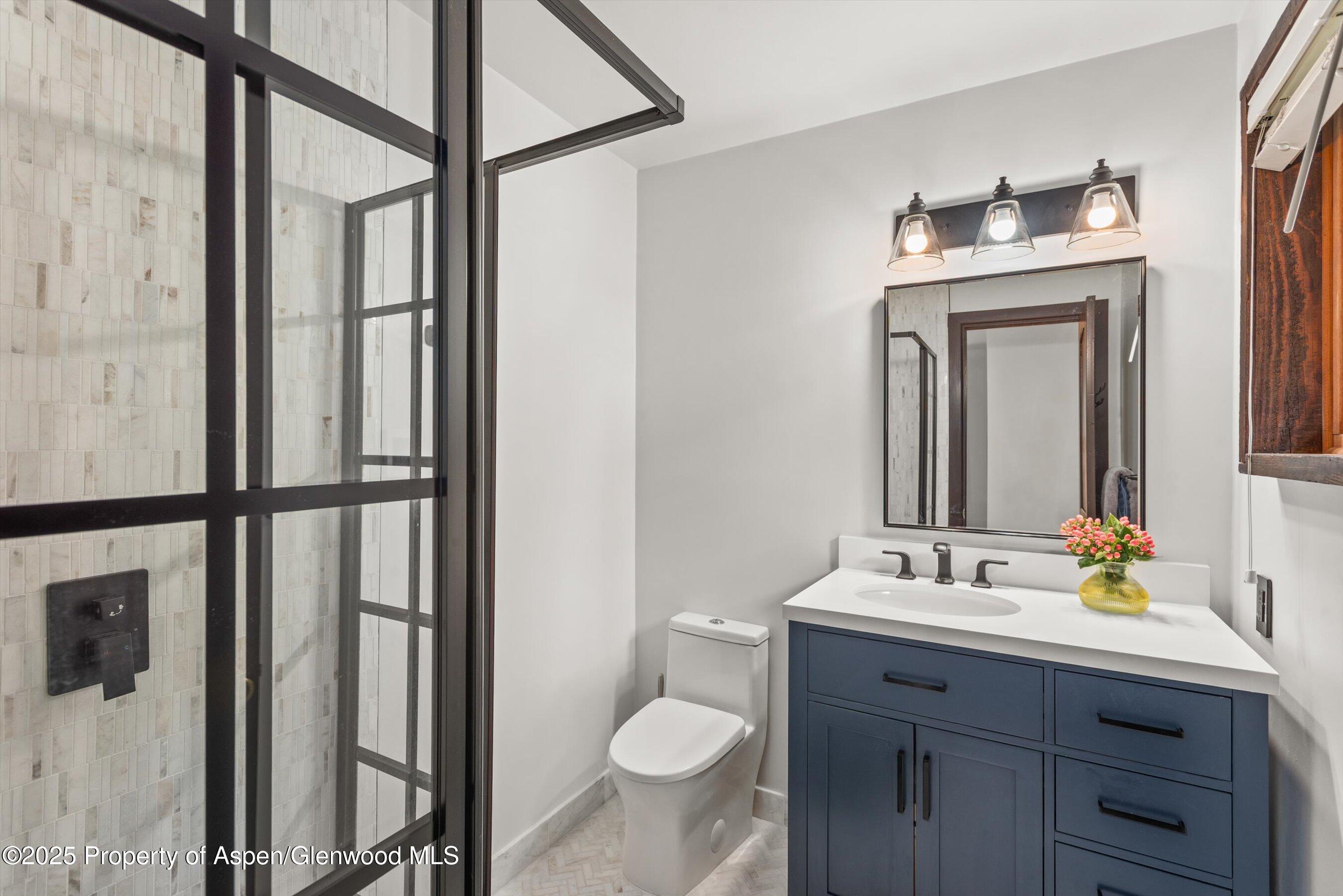 679 Pinon Drive Basalt, CO 81621 - Photo 31 of 52 a bathroom with a sink toilet and shower