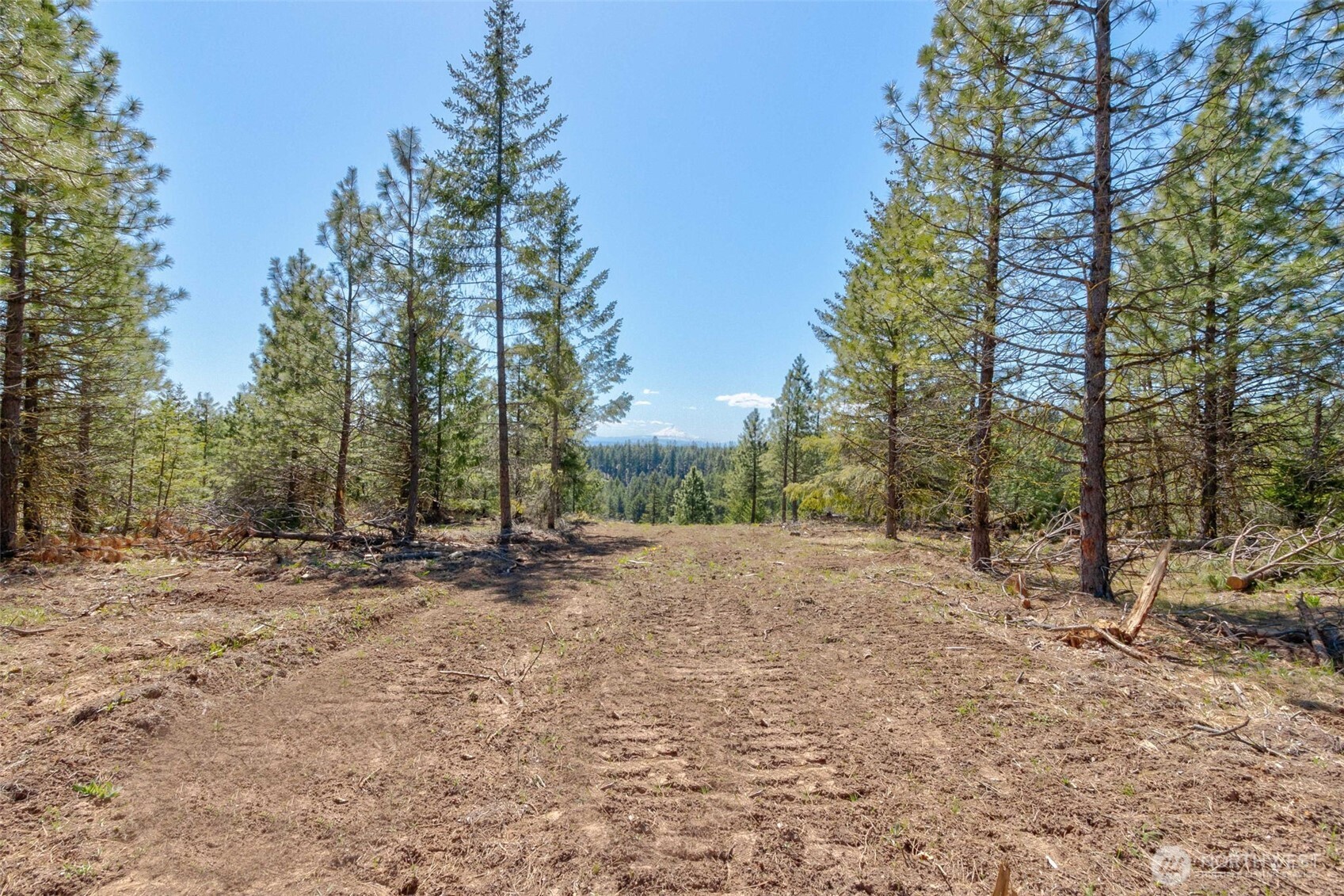 5 Sky Road Goldendale, WA 98620 - Photo 12 of 30 a view of a yard with trees