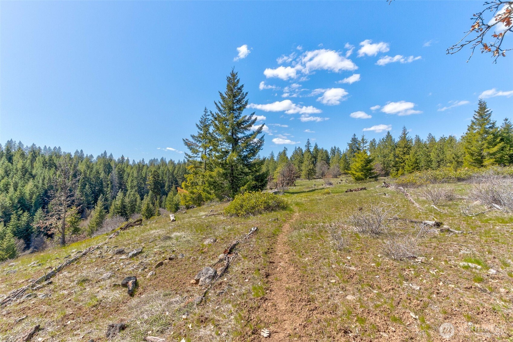 5 Sky Road Goldendale, WA 98620 - Photo 13 of 30 a view of a yard with a tree