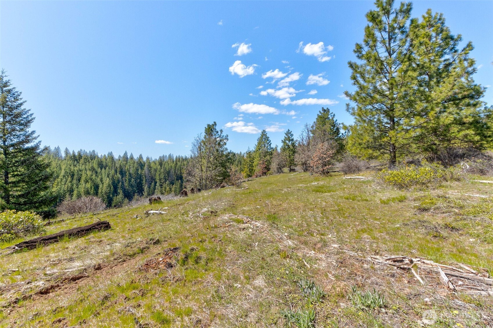 5 Sky Road Goldendale, WA 98620 - Photo 14 of 30 a view of a field with trees in the background